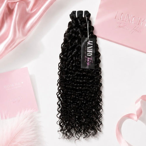 Burmese Curly BUNDLE DEAL